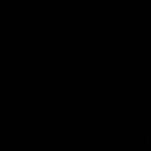 Meet your Posher, Brittney